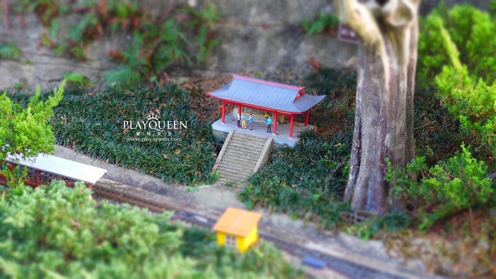阿里山神木