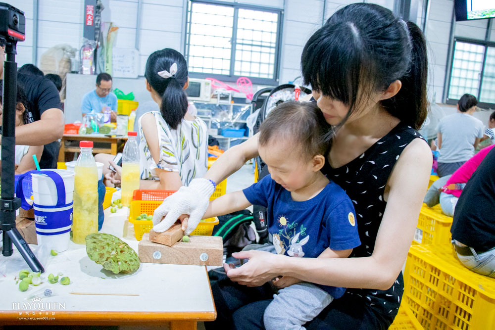 臺南蓮鄉之美