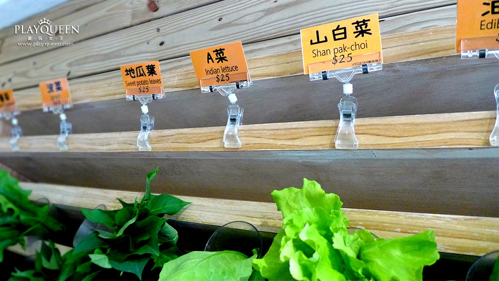 便宜蔬食