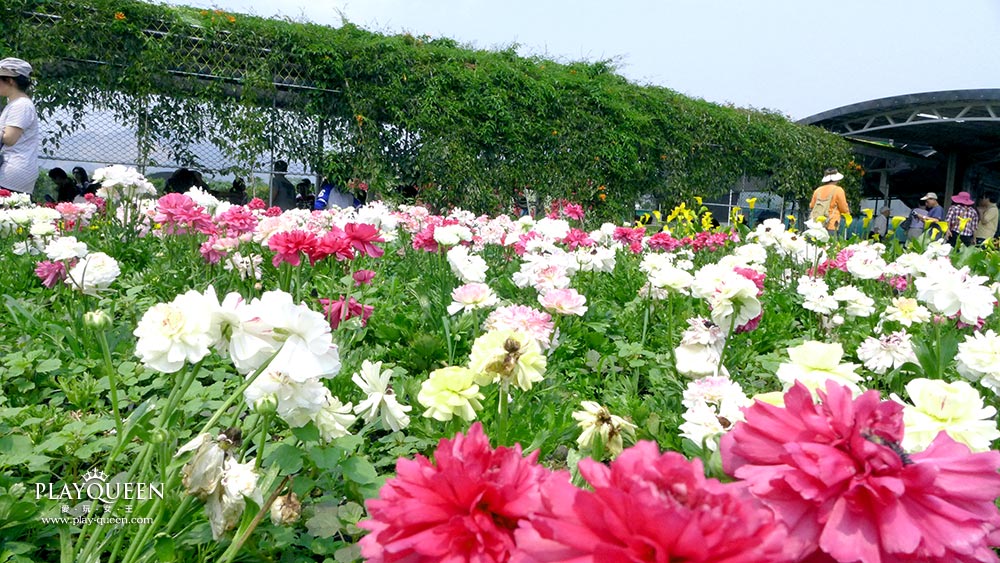 花園