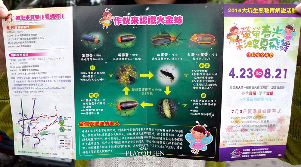 賞螢火蟲